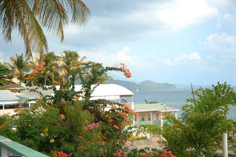Bird Rock Beach Hotel バセテール エクステリア 写真