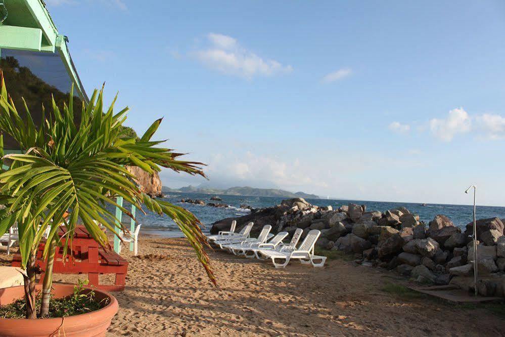Bird Rock Beach Hotel バセテール エクステリア 写真